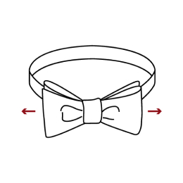 Step 9